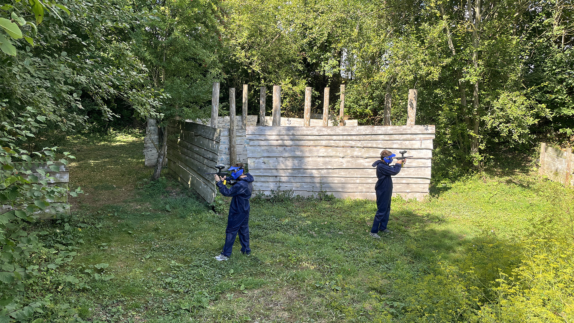La forêt